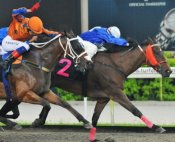 Southern Boss and Manoel Nunes holds off the late challenge of Soul Commander.<br>Photo by Singapore Turf Club